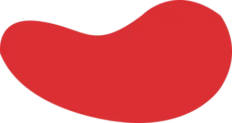 开云体育- 开云体育APP下载-开云官方网站